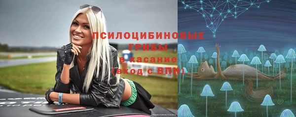 мдпв Осинники