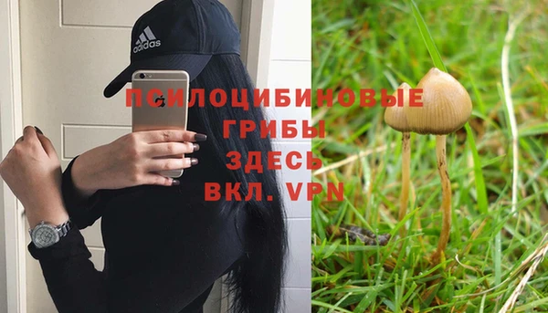 apvp Усолье-Сибирское