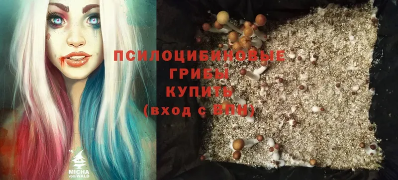 ОМГ ОМГ сайт  Вольск  Галлюциногенные грибы Psilocybine cubensis 