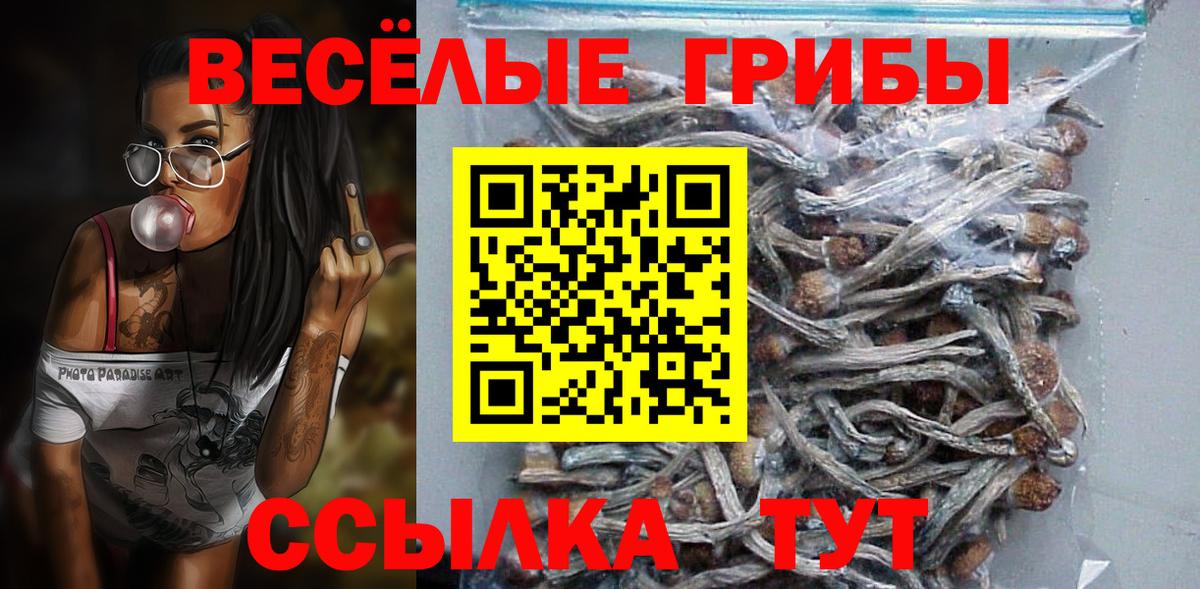 НБОМе Вольск