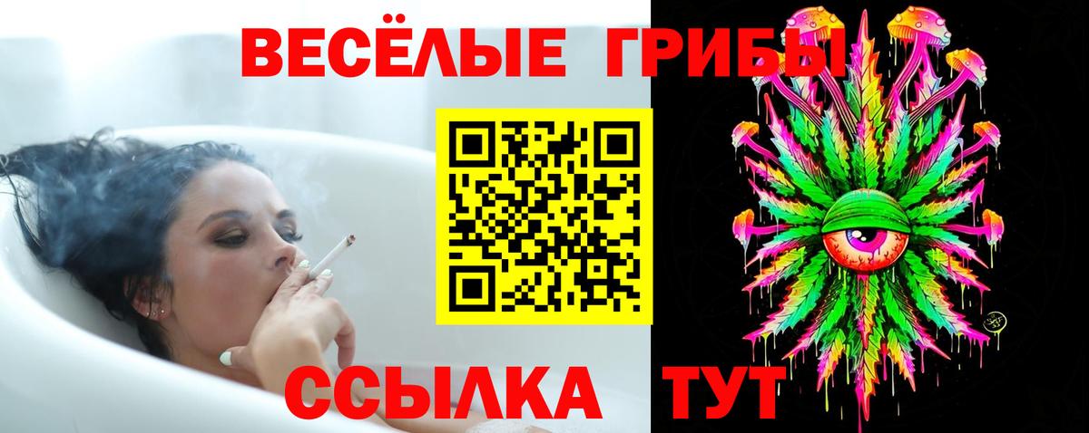 Галлюциногенные грибы MAGIC MUSHROOMS Вольск