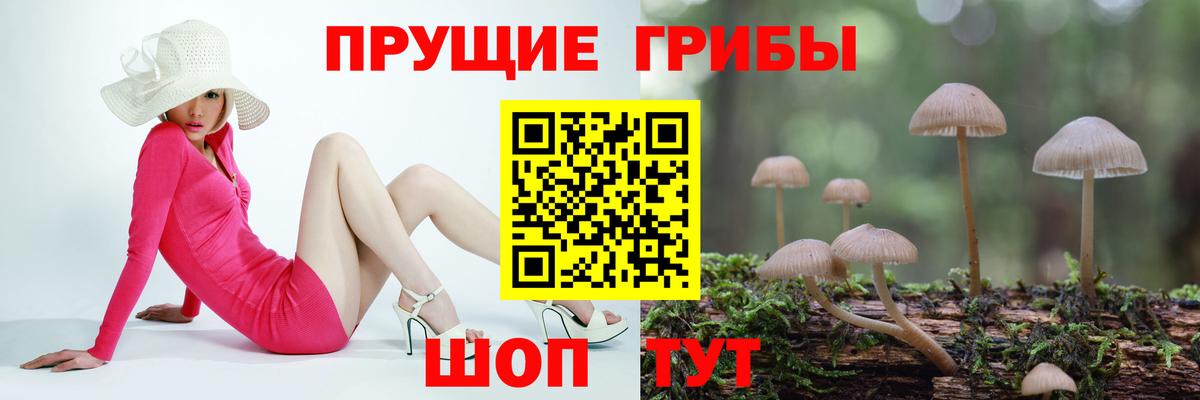 Галлюциногенные грибы ЛСД  Галлюциногенные грибы прущие грибы  Вольск  Вход с VPN 