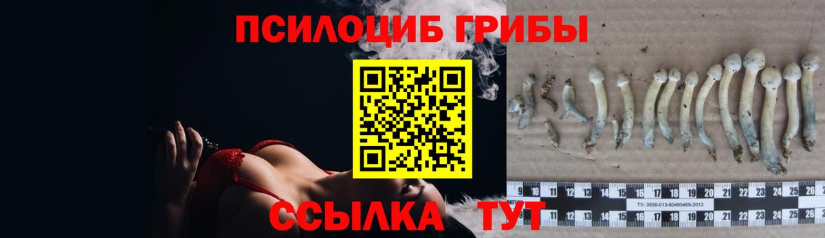 Галлюциногенные грибы Cubensis  Вольск 