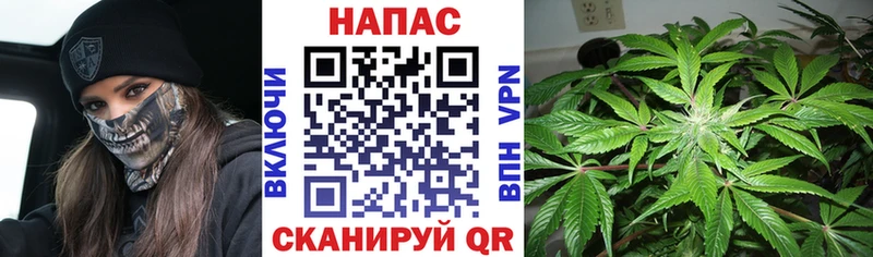 закладки  Вольск  Канабис SATIVA & INDICA 