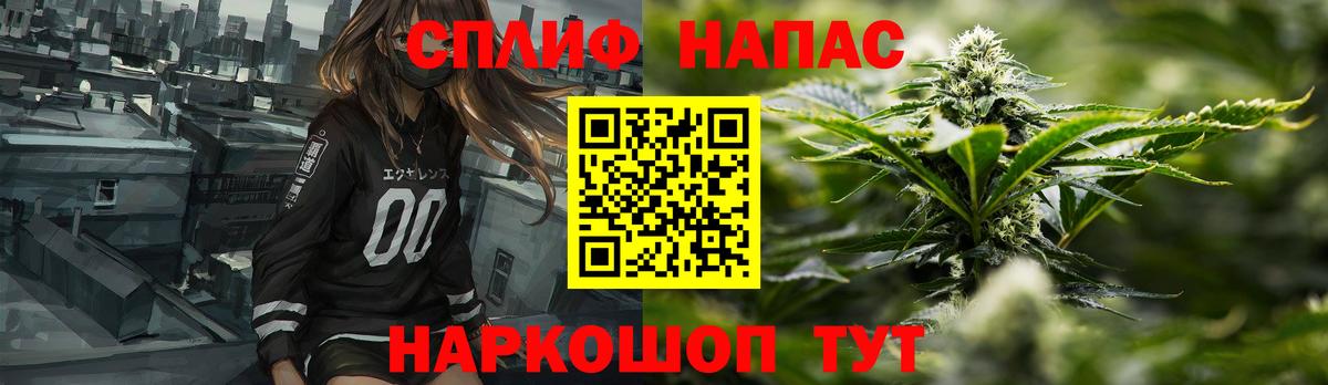 МАРИХУАНА сатива Вольск